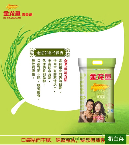 京东商城：金龙鱼 清香稻大米 5kg