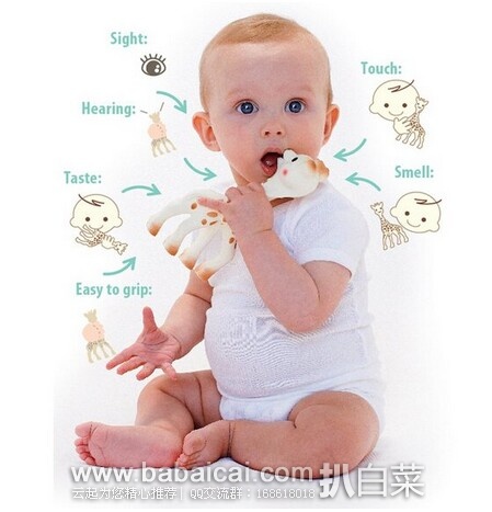 婴儿牙胶玩具首选~Vulli Sophie苏菲小鹿 磨牙牙胶原价$25 现$17.61，直邮无税