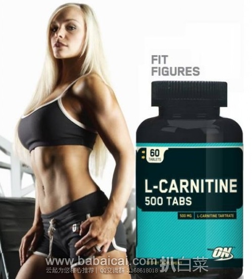 Optimum Nutrition 左旋肉碱营养片 500mg*60片原价$38.29,现新低$15.28,直邮无税,运费仅$2.59