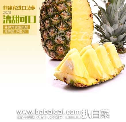 沱沱工社：菲律宾进口菠萝 2枚/份 团购预售价￥19.9 包邮