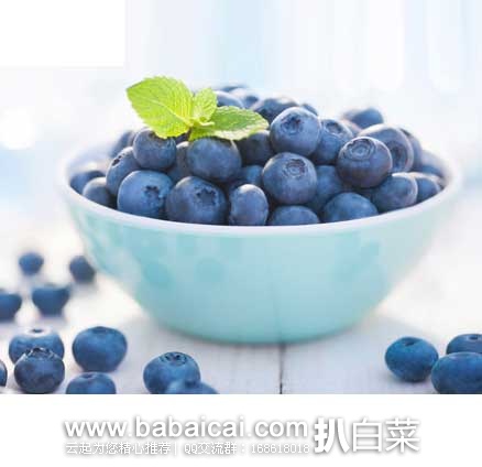 沱沱工社：基地直供蓝莓 4盒/份（约500g/份），市场价￥98元，现仅售￥69元！