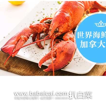 longxiaanaeebtw132-1