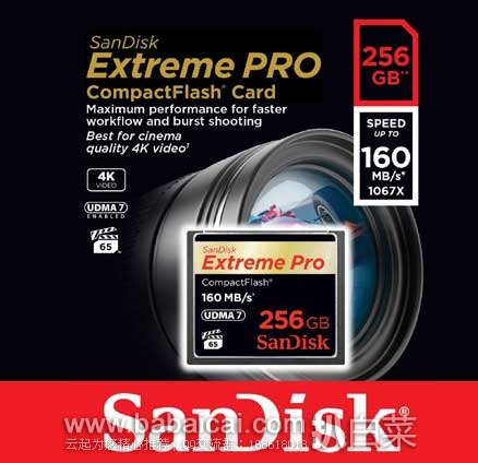 SanDisk 闪迪 至尊超极速 CF存储卡（256GB）  原价$529.99，现8.3折售价$439.99，新低