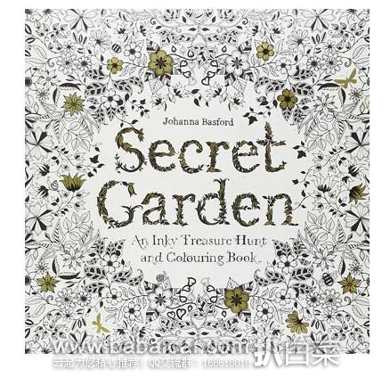 Secret Garden 秘密花园手绘填色本 英文原版  现售价$9.9
