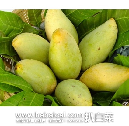 天猫商城:攀枝花 凯特芒果 黄皮芒果 热带水果大芒果新鲜2500g(5斤)