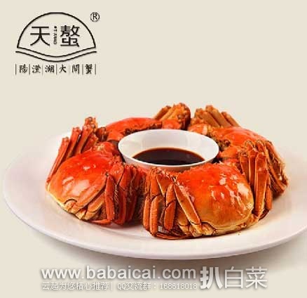 天猫商城： 阳澄湖 天螯牌 2.6-2.2两 4只全母 清水大闸蟹 鲜活螃蟹  原价￥388，现 ￥19.9元包邮！