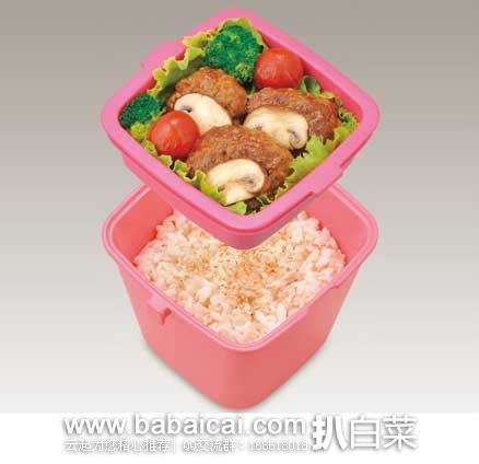 日本亚马逊:Thermos 膳魔师 LL断热构造双层 儿童便当盒 DJJ-600 (580ml) 现售价1049日元