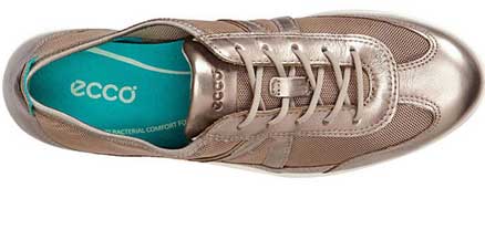 eccomrychurhgo420251-2