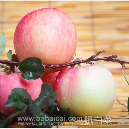 天猫商城：山东烟台栖霞新鲜红富士苹果4.5斤特价￥19.9包邮