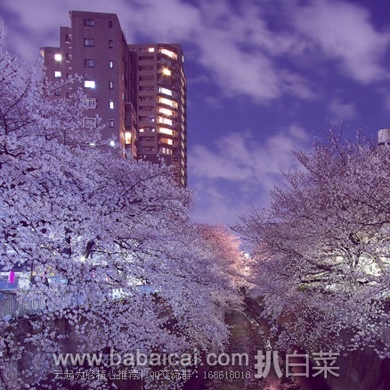 阿里旅行:上海直飞日本冲绳5天自由行赠送WIFI,3月出发东航往返 限时团购¥1599