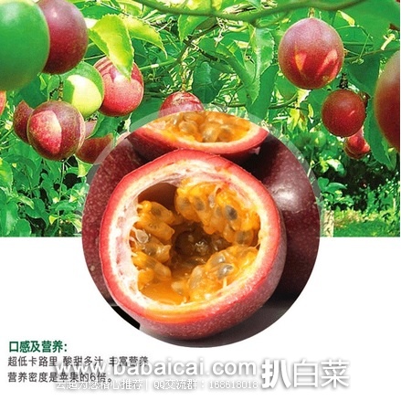 淘宝Taobao：鼎香园 广西百香果5斤 约37~45个果 特价￥30.8包邮