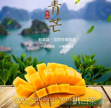 天猫商城:鲜菓篮 越南青芒、lovo罗莱家居地板拖、男女宝宝纯棉无袖背心、童木城 儿童 双面画板等...