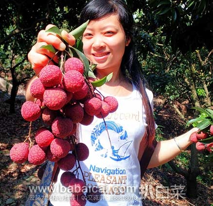 淘宝Tabao:美叶鲜果 新鲜荔枝水果 高州妃子笑现采现发8斤(限量500份) ¥8.8顺丰包邮