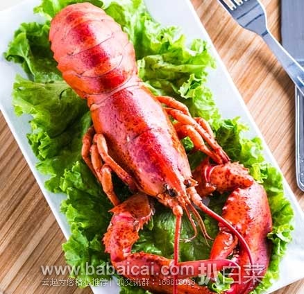 顺丰优选：海买 加拿大龙虾 300g*2只  现优选价￥99包邮