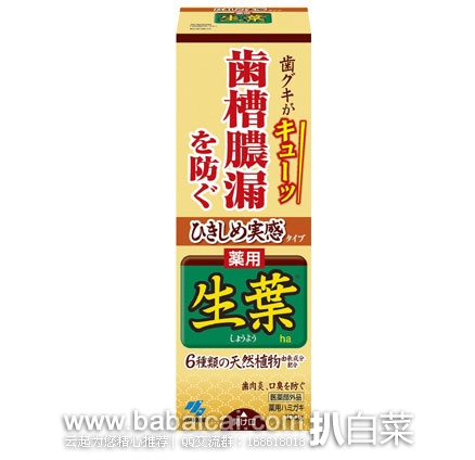 日本亚马逊:KOBAYASHI 小林制药 生叶中药牙膏 100g 现售价783日元(约¥50)