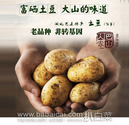 淘宝Taobao：湖北恩施巴东 米拉洋芋\富硒高山黄心小土豆  5斤装  ￥22.8包邮