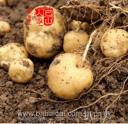 tudoustarcuahanban-2