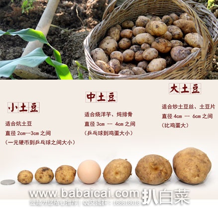 tudoustarcuahanban-3