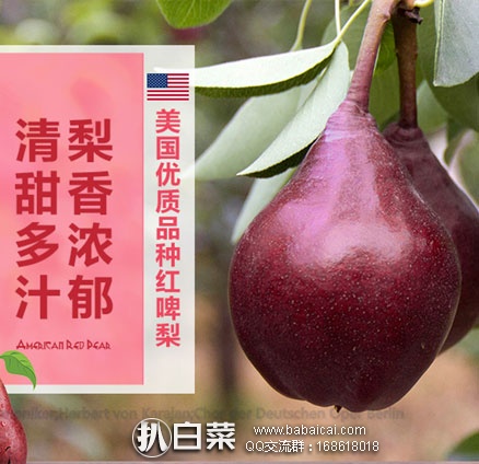 dalio095rcuahanban-3