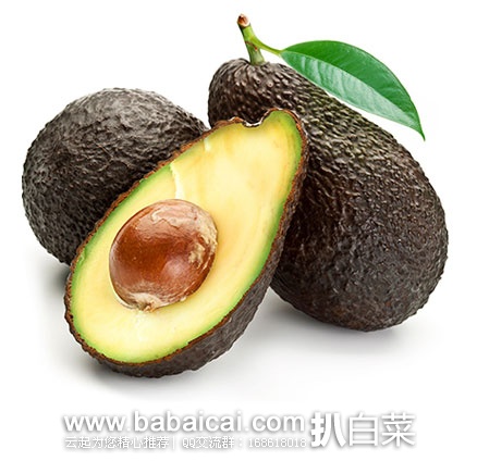 eliiaientarcuahanban-1