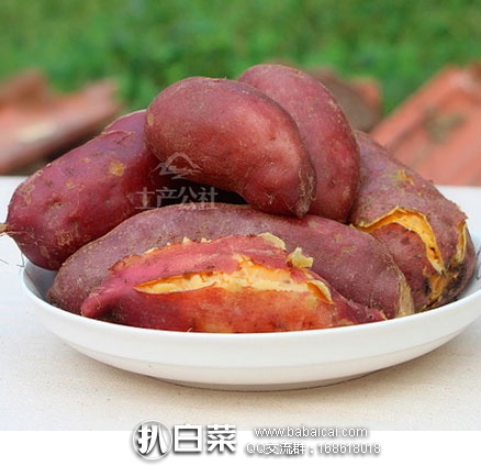 山东临沂特产 红皮黄心 香糯小红薯 5斤