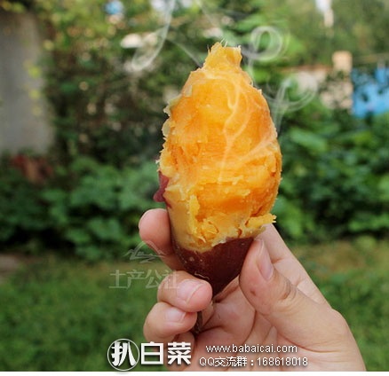 淘宝Taobao：山东临沂特产 红皮黄心 香糯小红薯 5斤 现特价￥10.9包邮