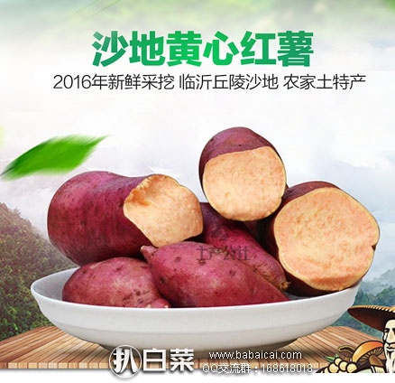 山东临沂特产 红皮黄心 香糯小红薯 5斤