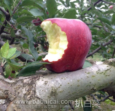 淘宝Taobao:甘肃礼县花牛苹果 (单果重200g左右)10斤装 ¥49.9元包邮