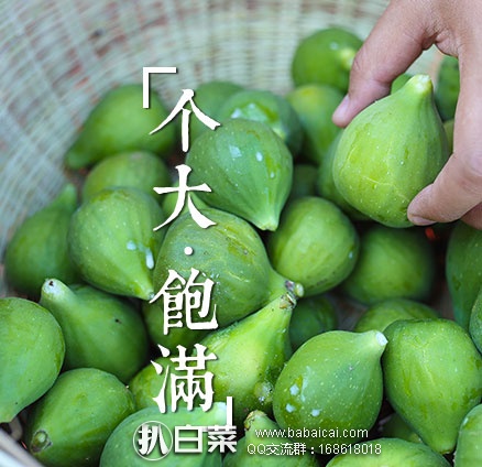 wuhgfo095rcuahanban-3