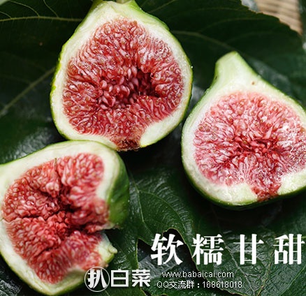 wuhgfo095rcuahanban-4