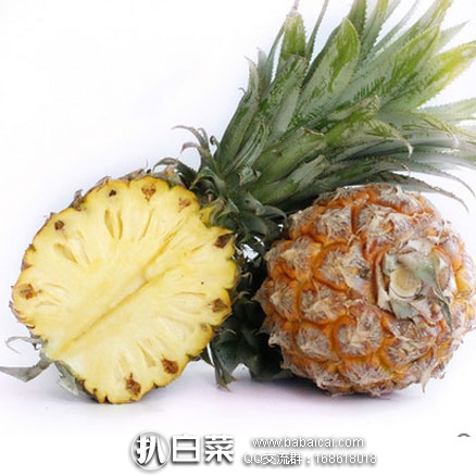 天猫商城：新鲜水果云南迷你小菠萝 8斤装  ￥16.7包邮