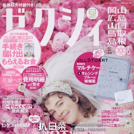 日本亚马逊:日本地方杂志 6月刊 附录赠送 JILL STUART 小清新收纳包 返点后仅需270日元(约¥16.7元)