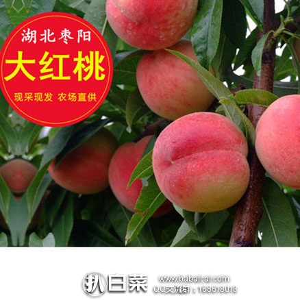 淘宝Taobao：湖北枣阳 大砂红桃（18个左右）5斤  预售价￥35.9，领取￥10元优惠券，实付￥25.9元包邮
