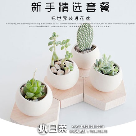 淘宝Taobao:龙大多肉 新手多肉精选超值套餐 现价¥21.8元,领取¥3元优惠券,实付¥18.8元包邮