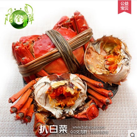 天猫商城：六月黄 阳澄翡翠大闸蟹（共6只） 现价￥98元，领取￥40元优惠券，实付￥58元顺丰包邮