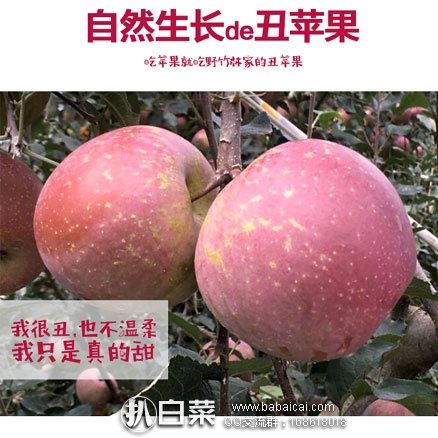 天猫商城:野竹林 陕西红富士 丑苹果 8斤 现预售价¥28.8,领取¥10元优惠券,券后实付¥18.8包邮