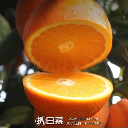 天猫商城：兴盟果业 赣南脐橙10斤 预售特价￥39，领券减￥5实付￥34包邮