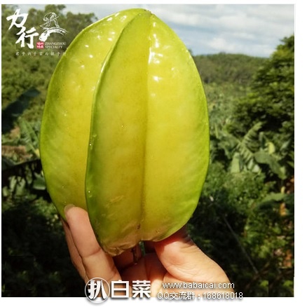 天猫商城：云霄 福建下河新鲜杨桃 2斤装 现￥29.8，用券减￥10+第二件0.1，买2组（4斤）实付￥19.9包邮）