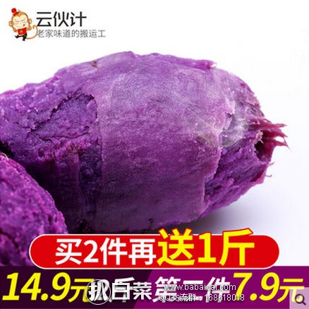 天猫商城：云伙计 新鲜现挖紫心红薯共 5斤（拍2份） 现售价￥14.9，双重优惠后实付 ￥12.8包邮