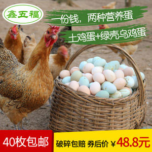 天猫商城：鑫五福 农家散养土鸡蛋20枚+乌鸡蛋20枚  现价￥58.8，领取￥20优惠券，实付￥38.8包邮