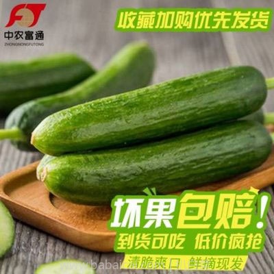 淘宝Taobao：中农富通 新鲜水果黄瓜 5斤装  现价￥29.9，领取￥5优惠券，实付￥24.9元包邮
