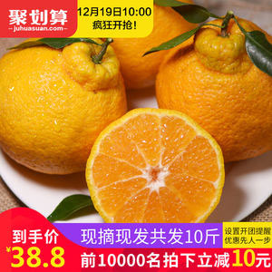天猫商城：四川新鲜丑橘丑柑 10斤  现价￥48.8，下单立减10元，实付￥38.8包邮
