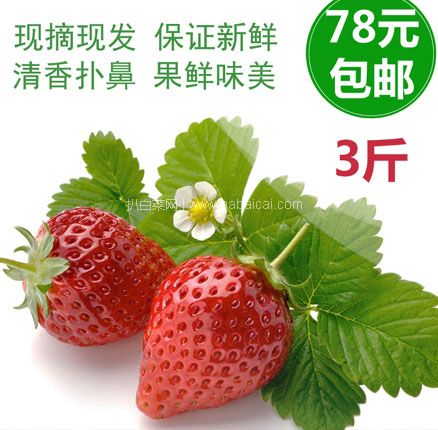 天猫商城：田小七 新鲜红颜奶油草莓 3斤 现￥69.8，领￥10优惠券，券后新低￥59.8元包邮
