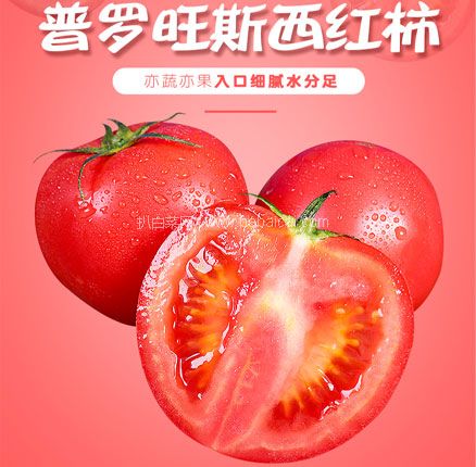 天猫商城：景农鲜 普罗旺斯西红柿 5斤  双重优惠后￥9.9元包邮