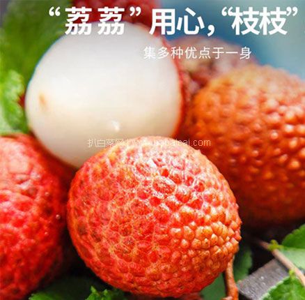 京东商城：预售，限地区，京觅 广州桂味荔枝 净重5斤装 好价￥59.9元，约合￥11.98/斤