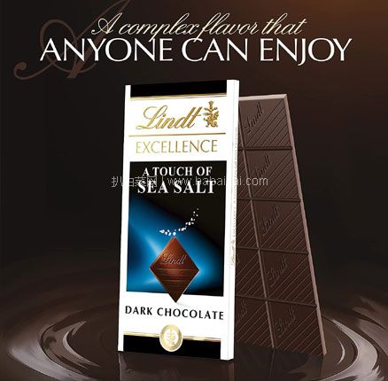 亚马逊海外购：Lindt 瑞士莲 海盐特级黑巧克力100g*12排，直邮含税到手￥271，折合￥22.58/排