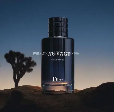 西班牙Perfume’s Club官网：Dior 迪奥 Sauvage 旷野男士香水 EDP 200ml  免费直邮包税到手新低￥977元