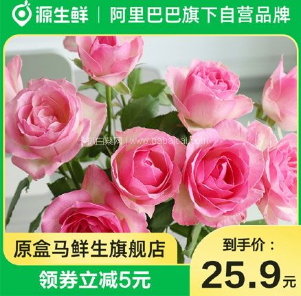 天猫商城：盒马 源生鲜 云南基地直供 随机色玫瑰花鲜花速递 10支  低至￥23.9元包邮