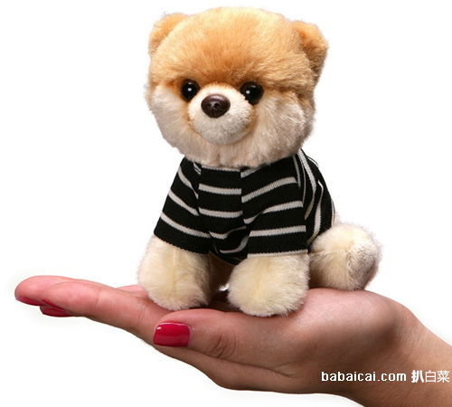 Gund Itty Bitty Boo 小狗俊介君 5寸 毛绒公仔.19,萌翻了,带她回家吧!