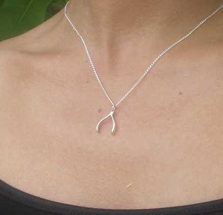 Sterling Silver 许愿骨项链 原价$64.99，现$15.99，直邮无税